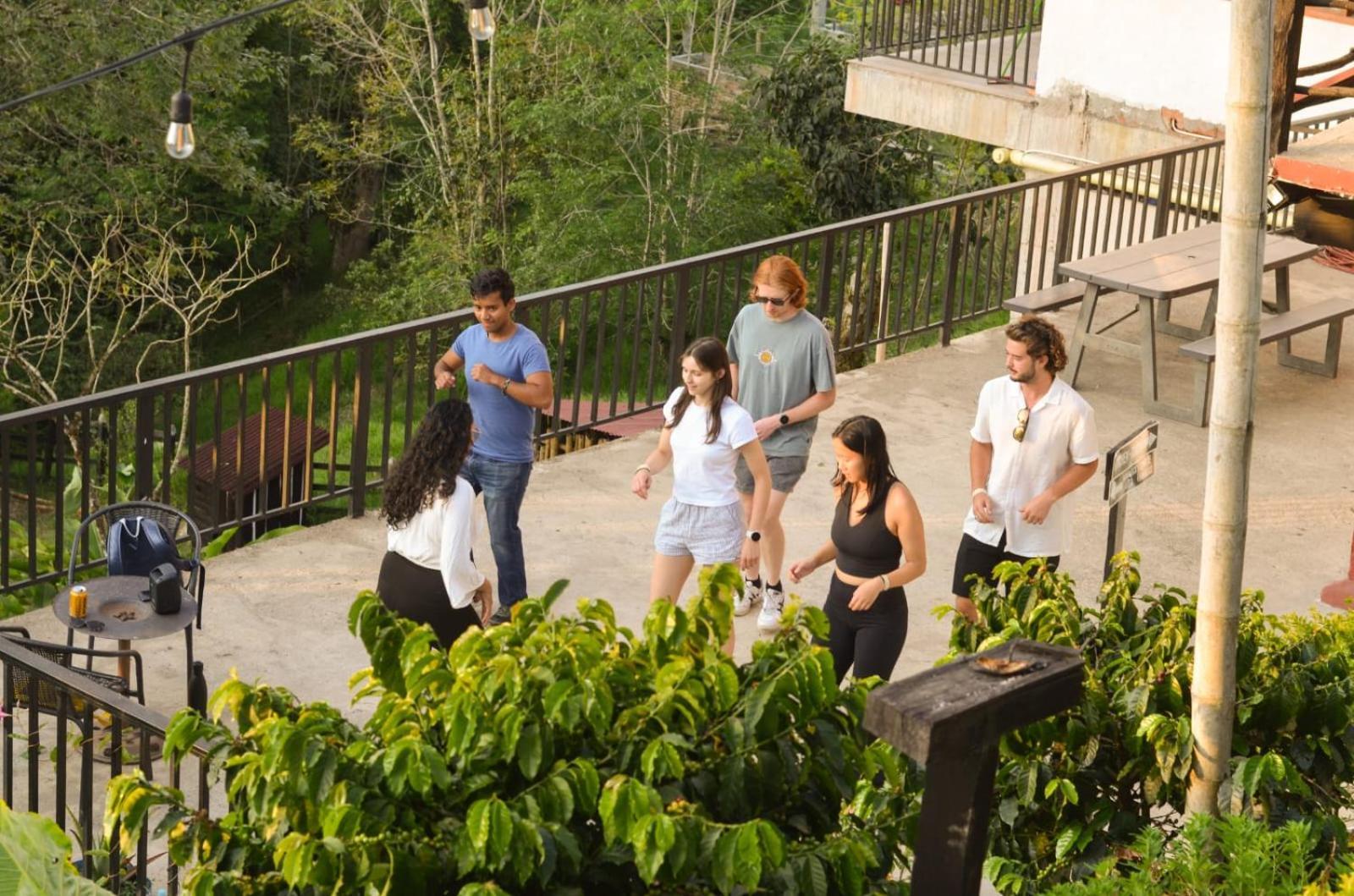 Coffee Tree Boutique Hostel Саленто Екстериор снимка