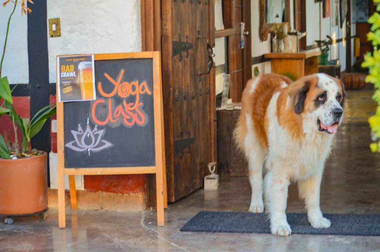 Coffee Tree Boutique Hostel Саленто Екстериор снимка