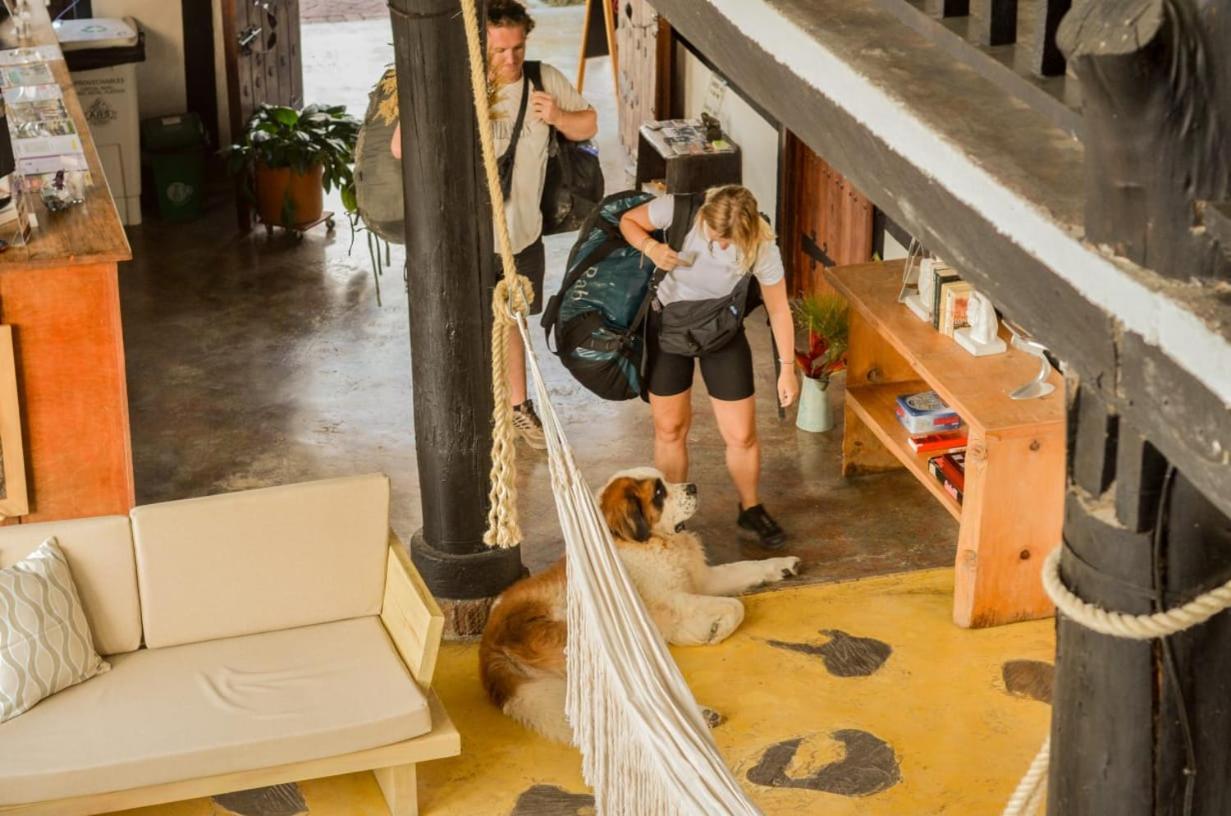 Coffee Tree Boutique Hostel Саленто Екстериор снимка