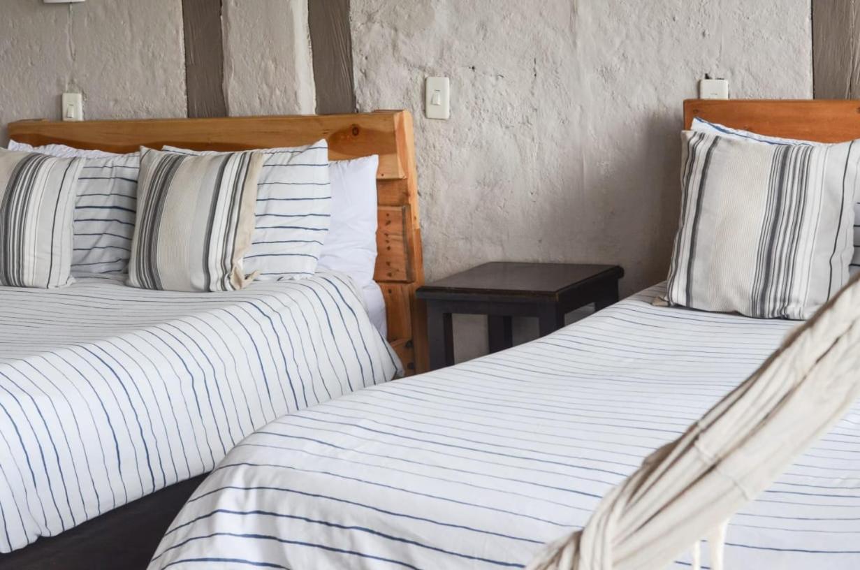 Coffee Tree Boutique Hostel Саленто Екстериор снимка